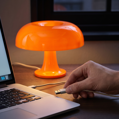 Siennas USB-kontakt på vei inn i en laptop på skrivebordet